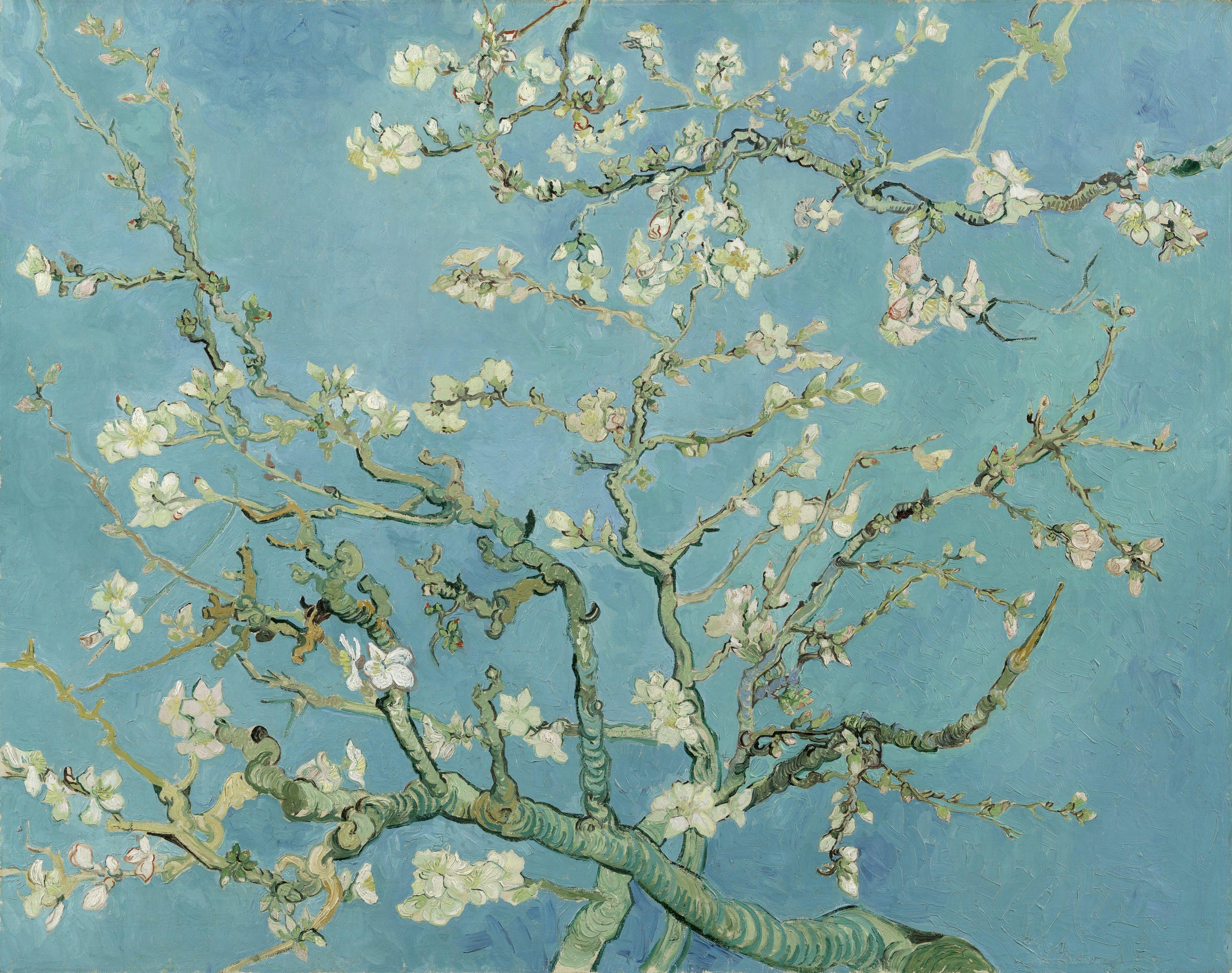 Branches of an Almond Tree in Blossom