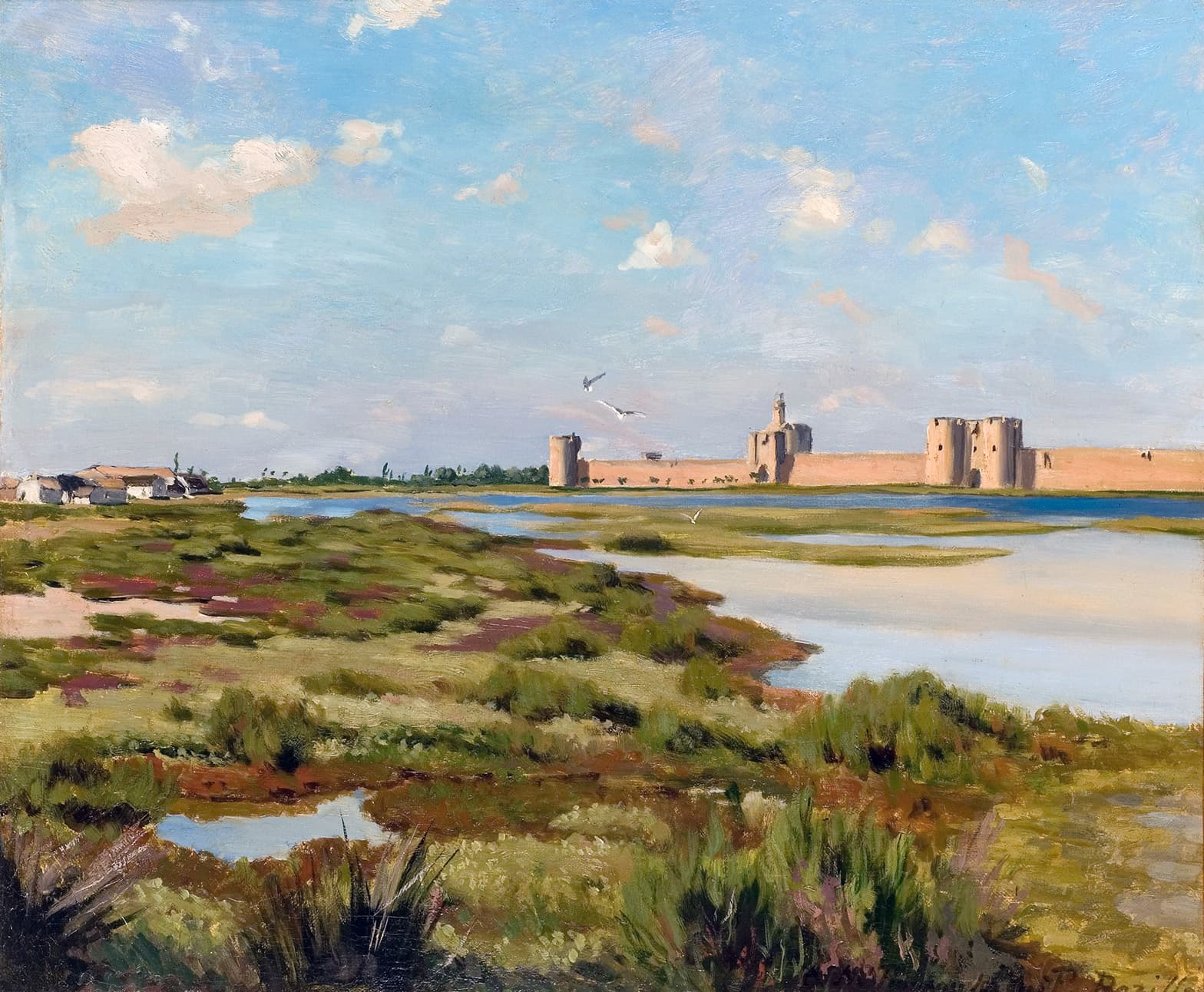 Landscape of Aigues-Mortes