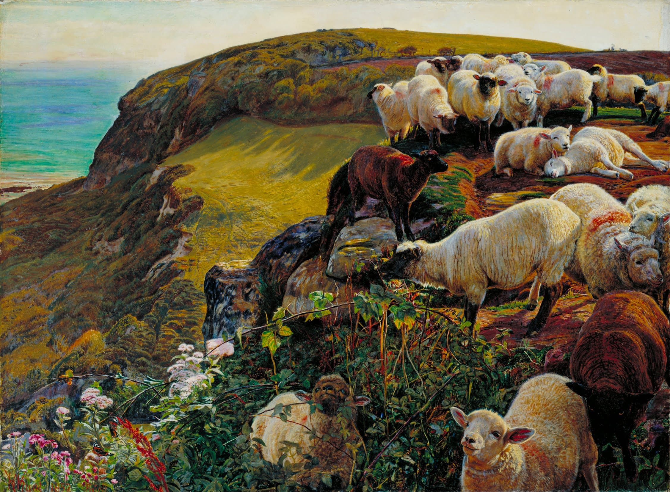 Our English Coasts (Strayed Sheep)